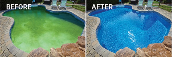 How to fix a green pool